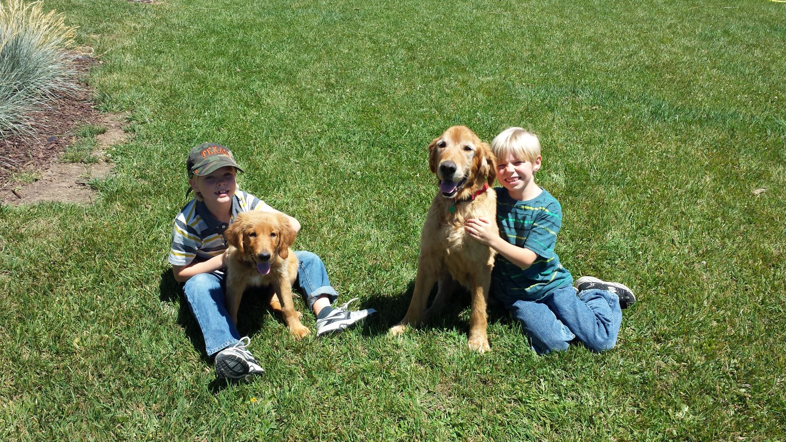 Grandsons with their dogs. What would we do without our dogs?
