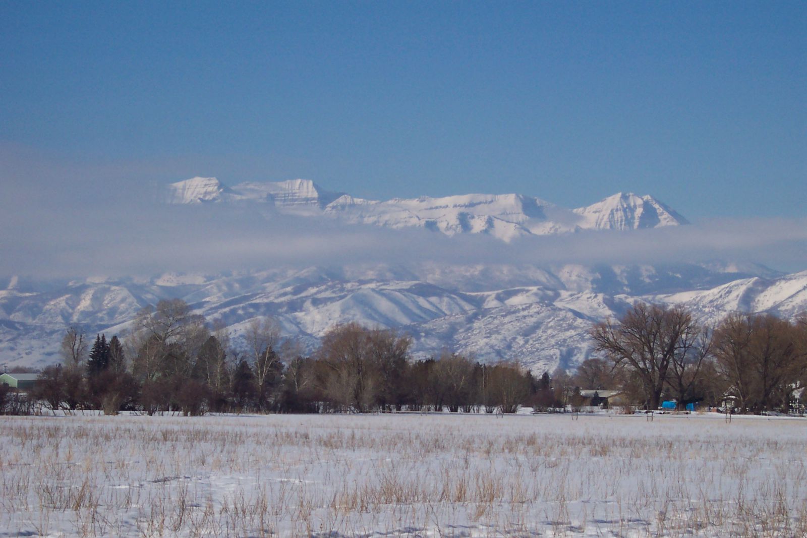 Vista of Mt.Timpanagos in Wasatch County. Heber City, Midway and Charleston. 